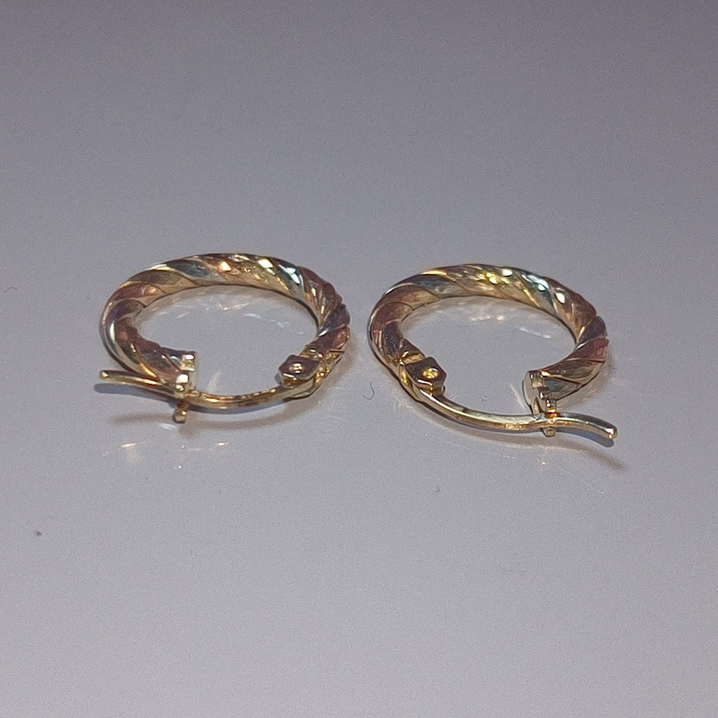 ARETES PAR ORO 10 K 1,90 GRMS (SEMINUEVO)