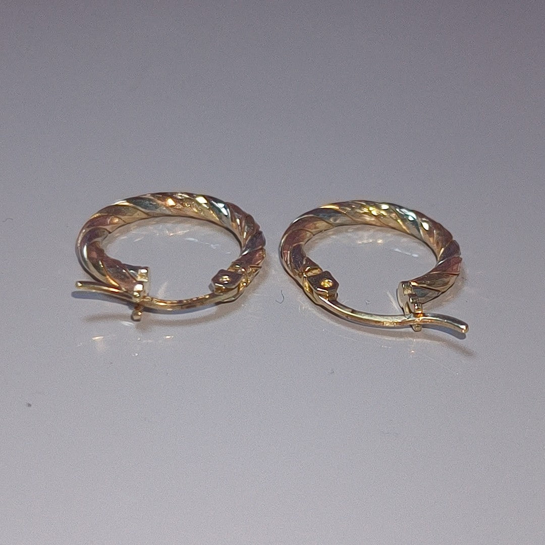 ARETES PAR ORO 10 K 1,90 GRMS (SEMINUEVO)