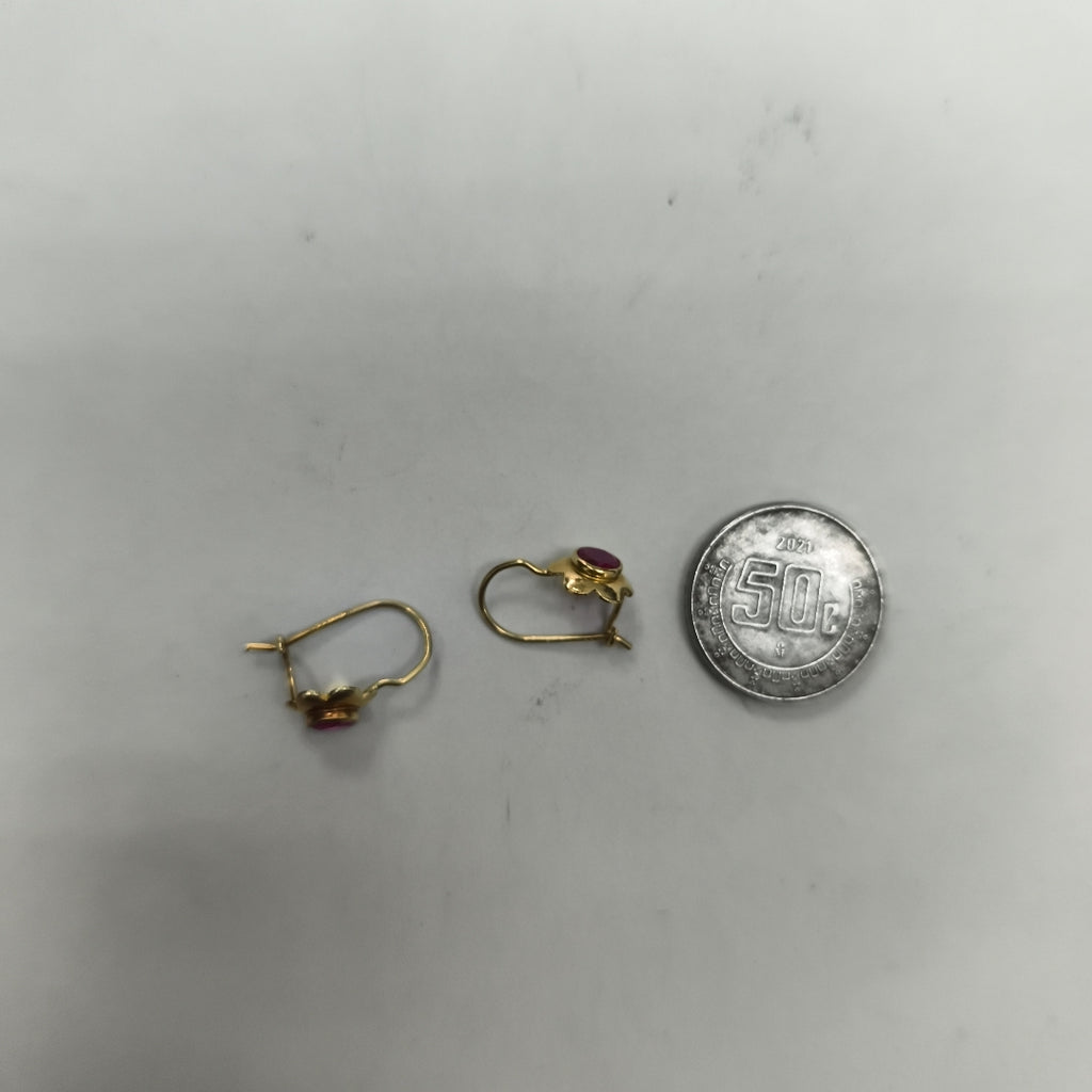 ARETES PAR ORO 10 K 0.6 GRMS (SEMINUEVO)