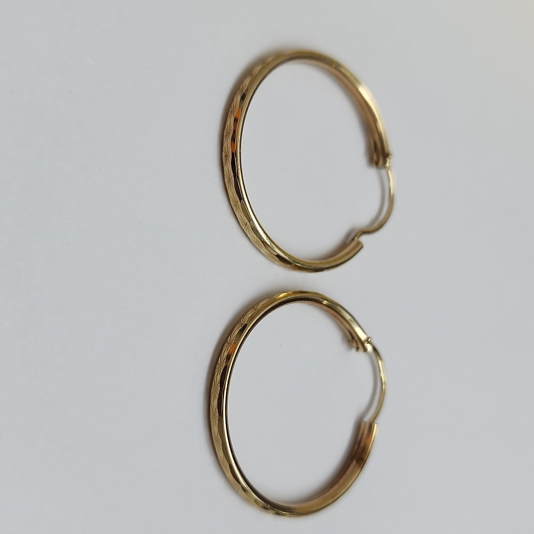 ARRACADAS PAR ORO 10 K 2.2 GRMS (SEMINUEVO)