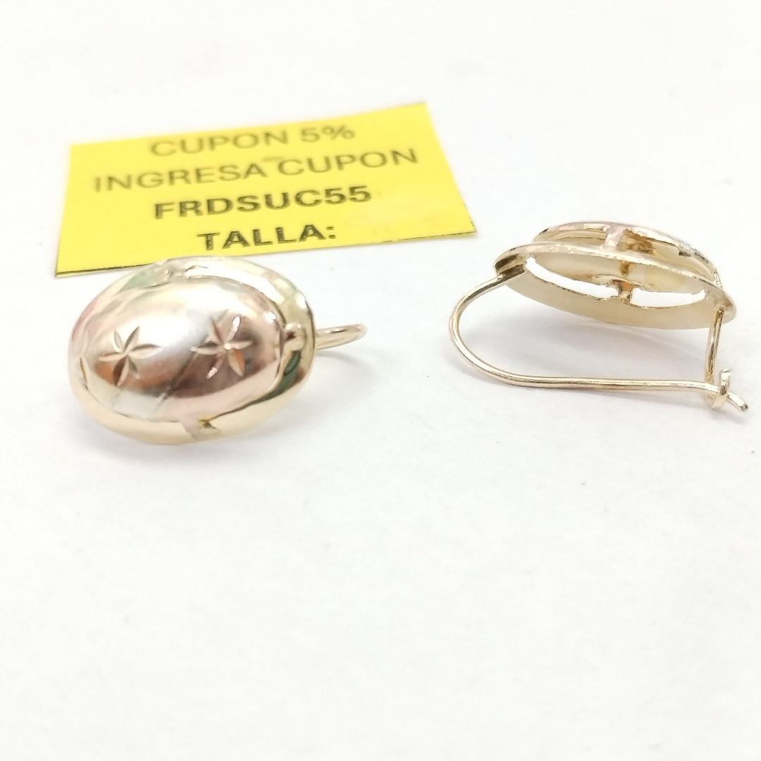 ARETES PAR ORO 10 K 1,40 GRMS (SEMINUEVO)