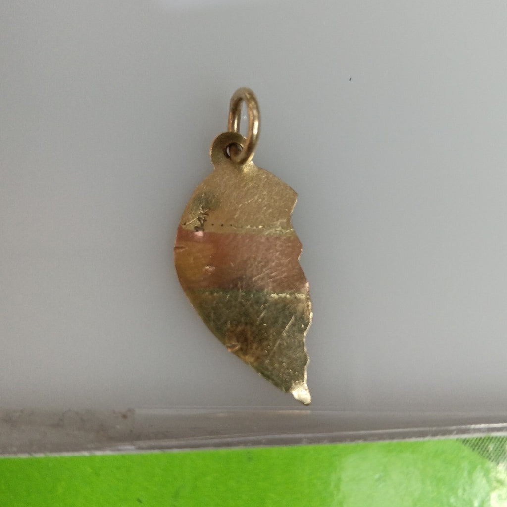 DIJE ORO 10 K 0,60 GRMS (SEMINUEVO)