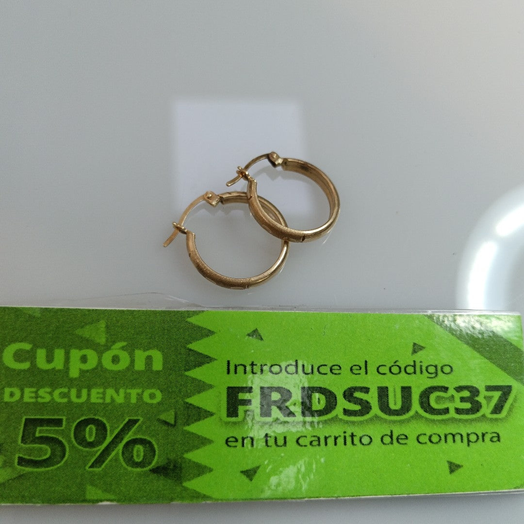 ARRACADAS PAR ORO 10 K 2 GRMS (SEMINUEVO)