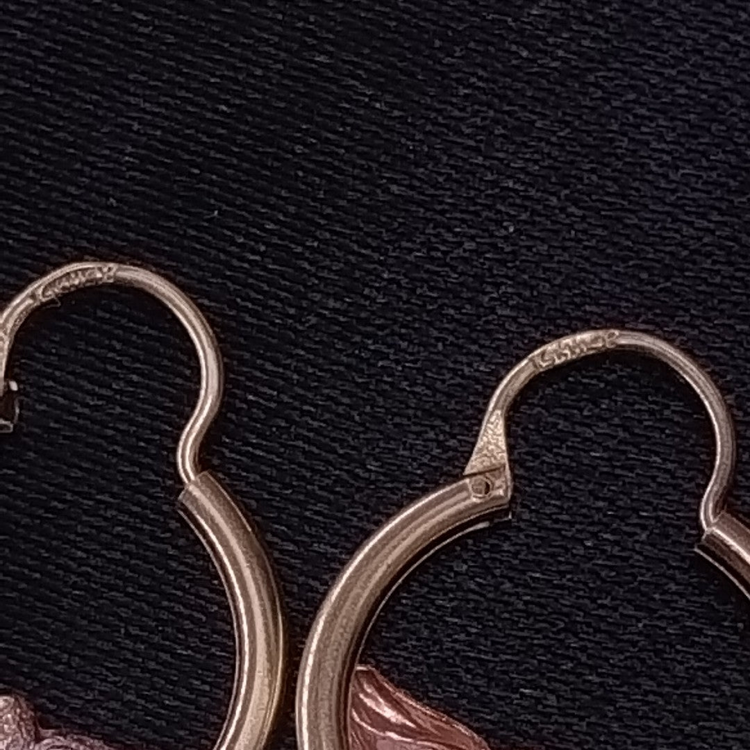 ARETES PAR ORO 14 K 1.8 GRMS (SEMINUEVO)
