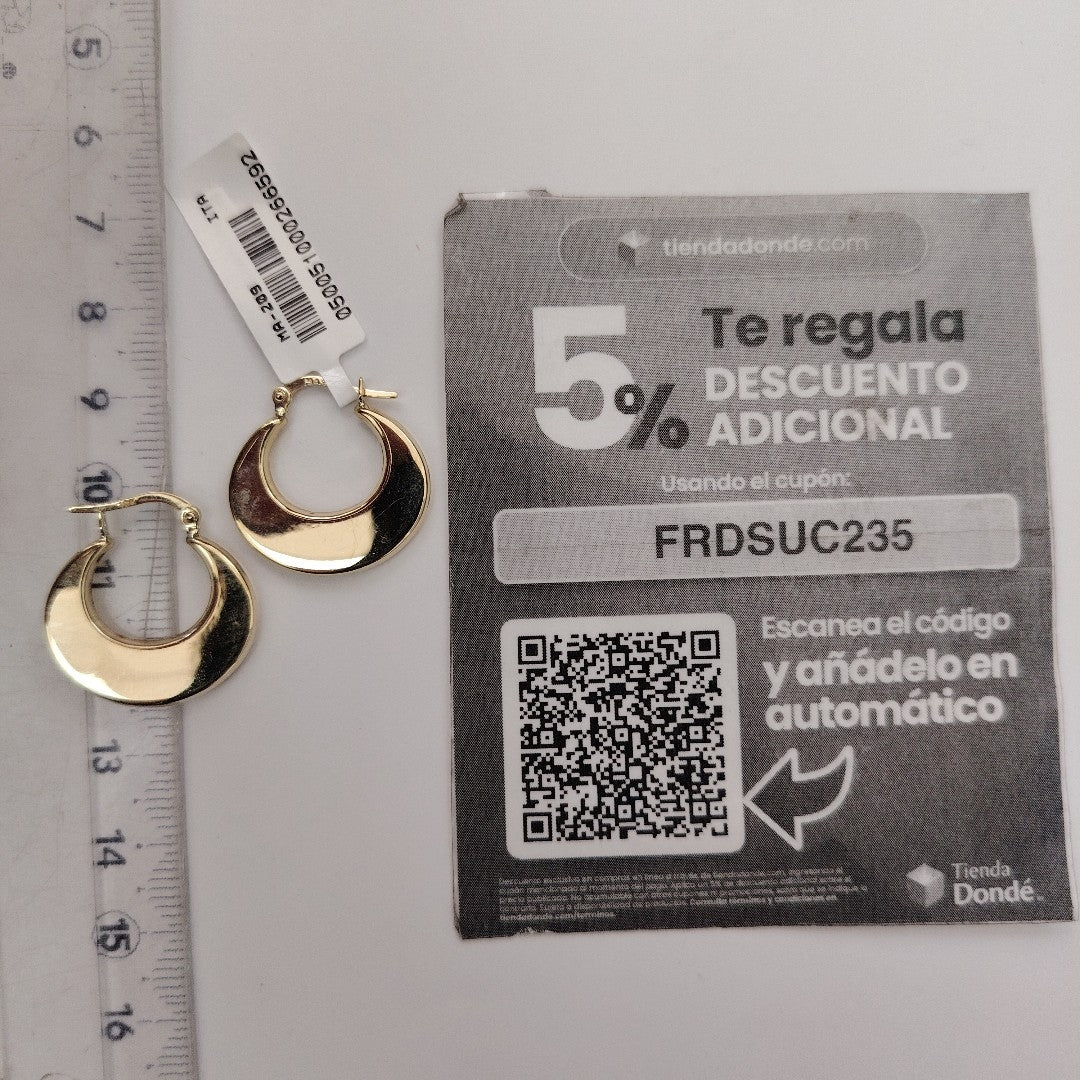 ARRACADAS ORO 10K 2 (NUEVO)