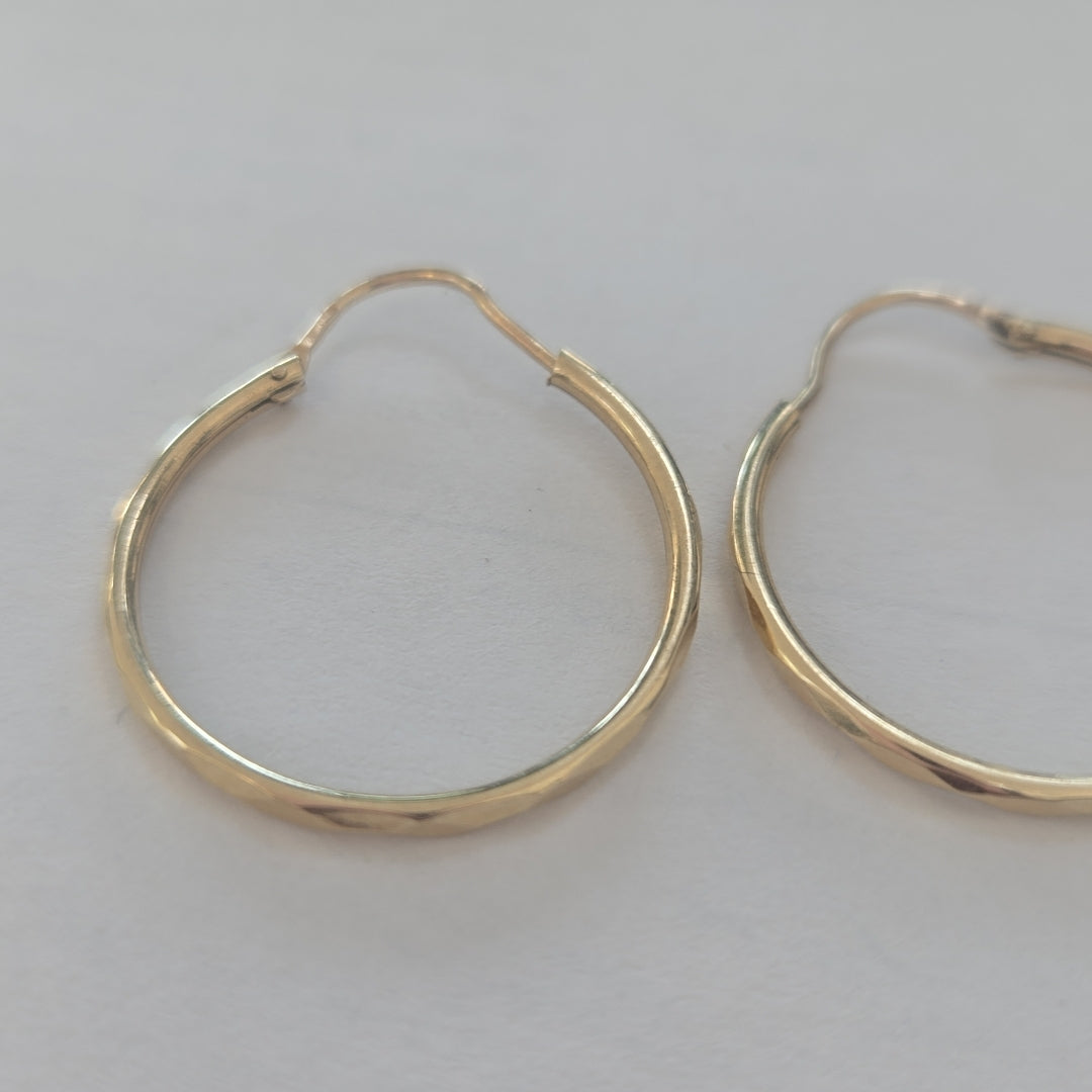 ARRACADAS PAR ORO 10 K 1.6 GRMS (SEMINUEVO)
