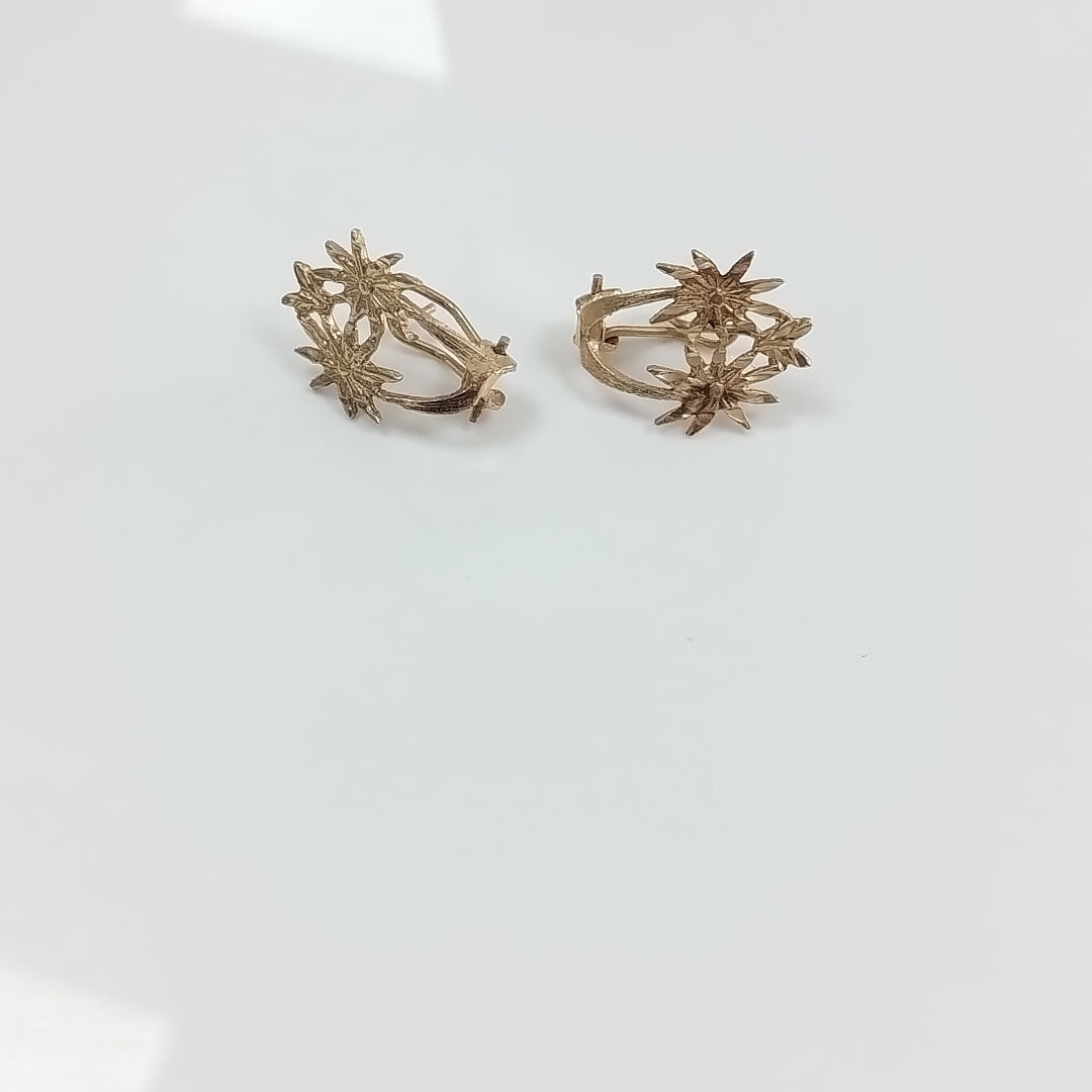 ARETES PAR ORO 14 K 2,50 GRMS (SEMINUEVO)