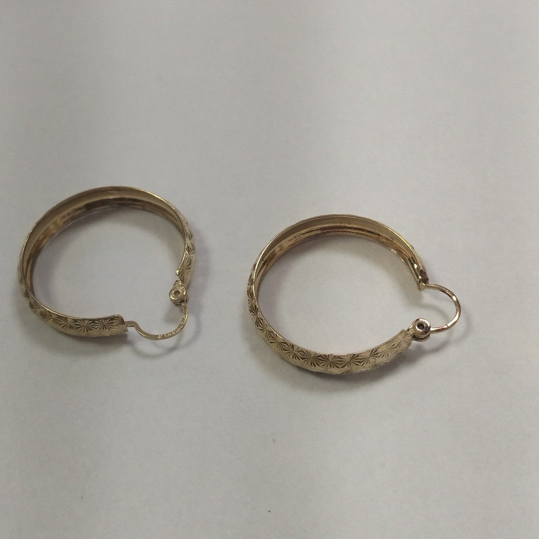 ARETES PAR ORO 10 K 2.9 GRMS (SEMINUEVO)