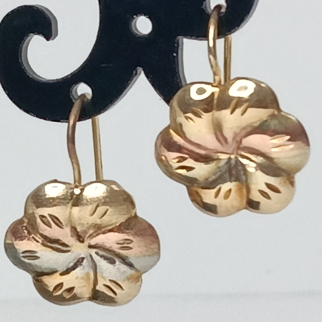 ARETES PAR ORO 10 K 1.5 GRMS (SEMINUEVO)