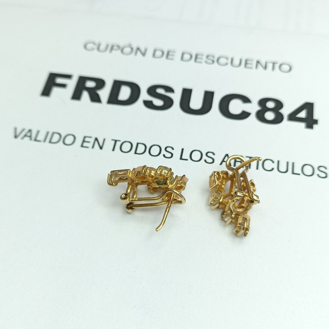 ARETES PAR ORO 10 K 4 GRMS (SEMINUEVO)