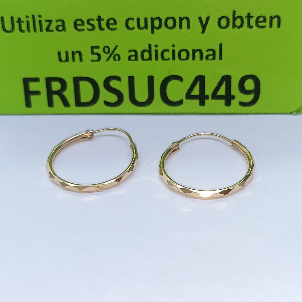 ARRACADAS PAR ORO 10 K 1,00 GRMS (SEMINUEVO)
