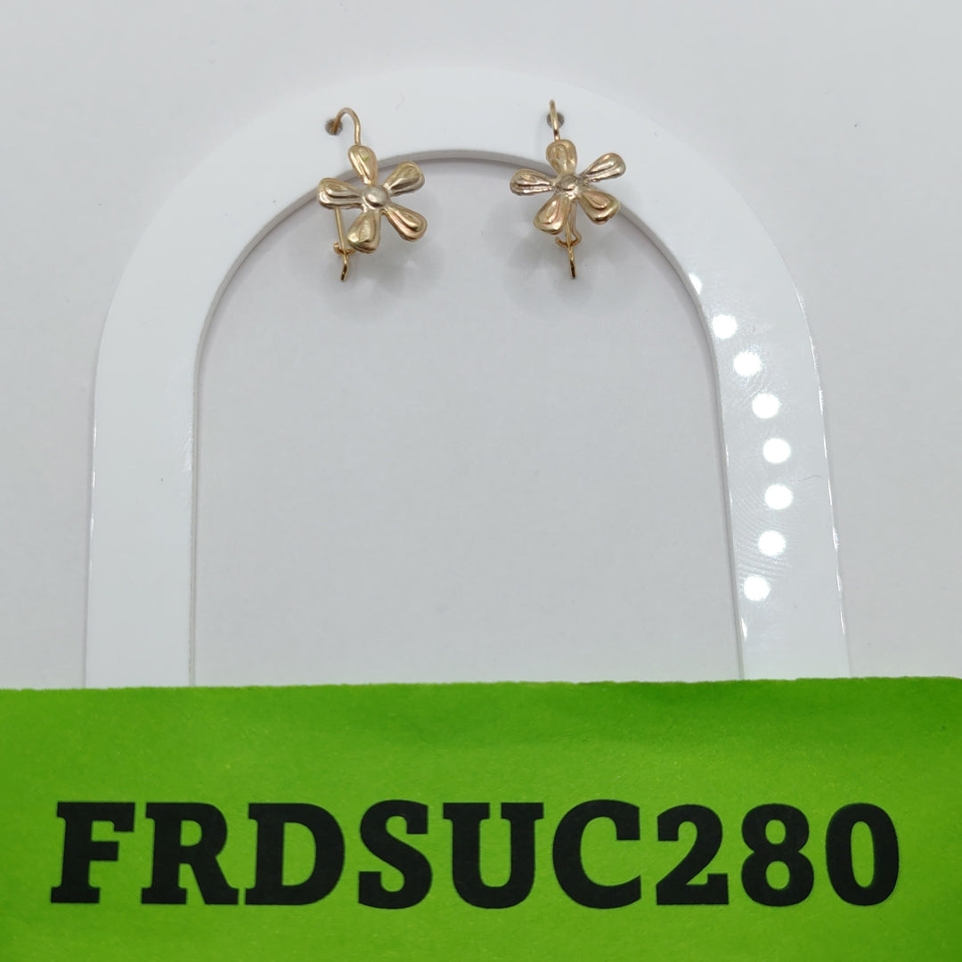 ARETES PAR ORO 10 K 0.6 GRMS (SEMINUEVO)