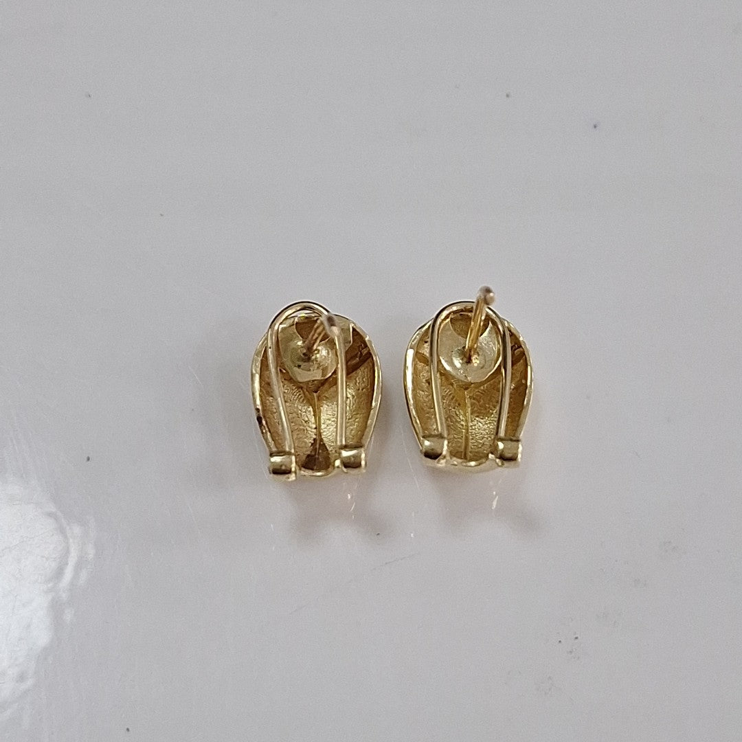 ARETES PAR ORO 10 K 2.1 GRMS (SEMINUEVO)