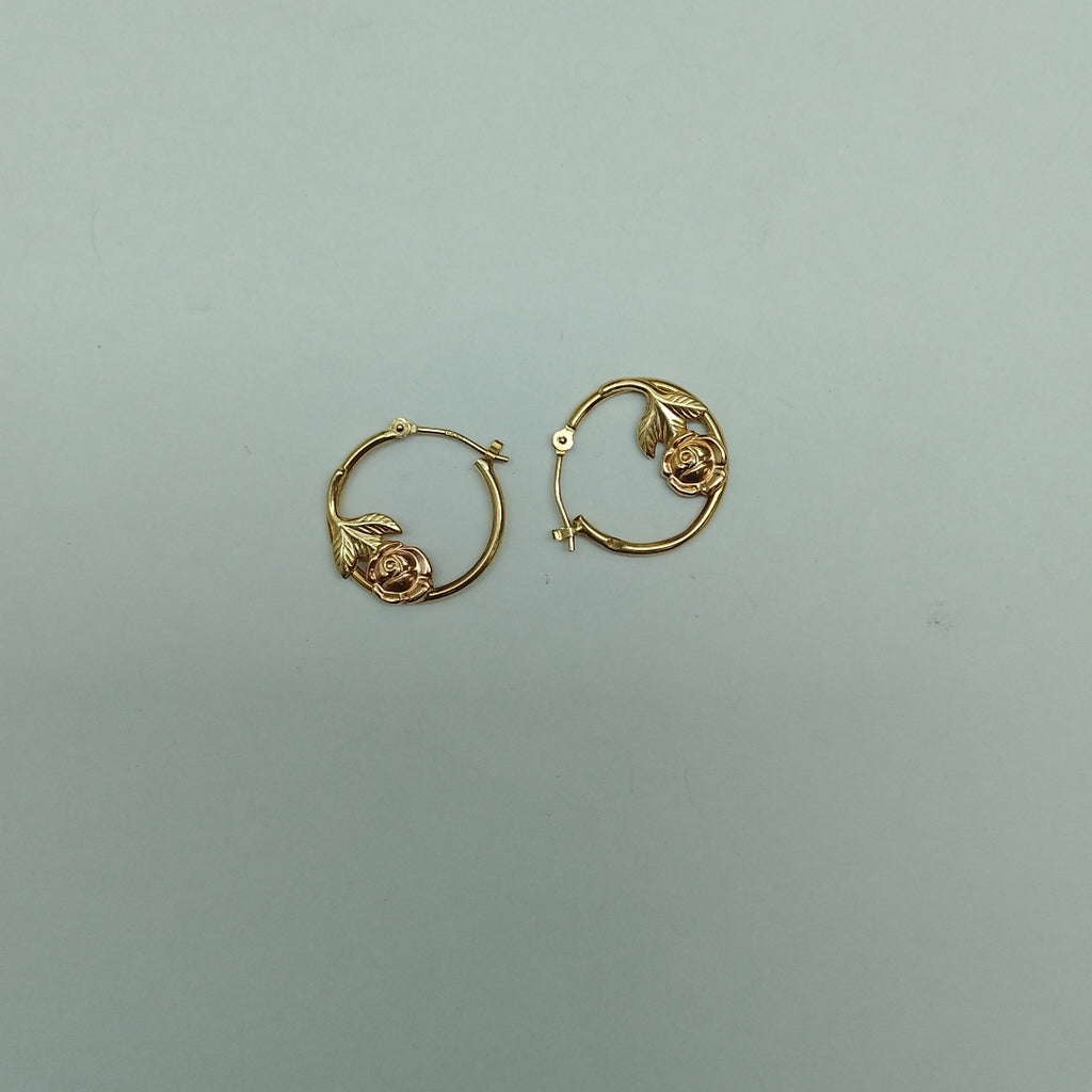 ARRACADAS PAR ORO 14 K 1 GRMS (SEMINUEVO)