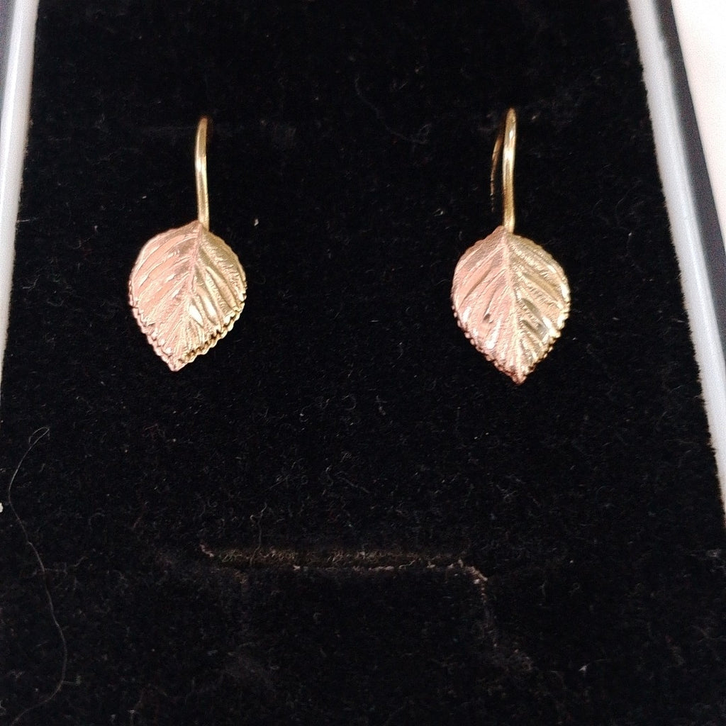 ARETES PAR ORO 10 K 1 GRMS (SEMINUEVO)