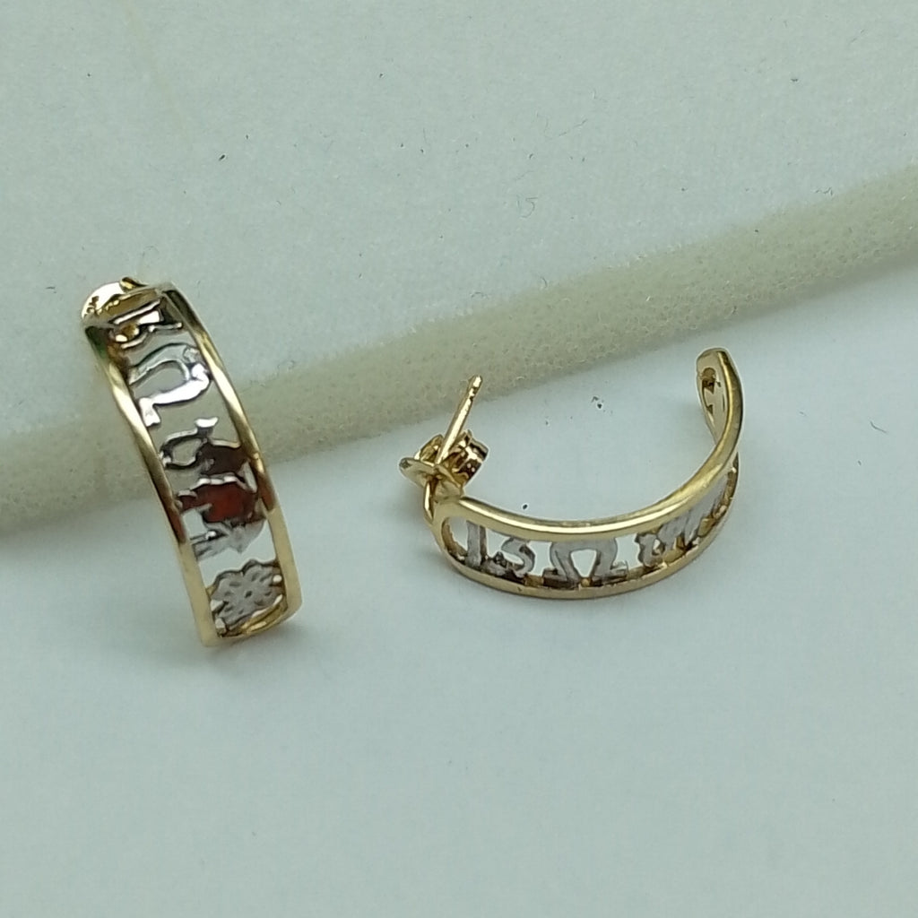 ARETES PAR ORO 10 K 2.5 GRMS (SEMINUEVO)