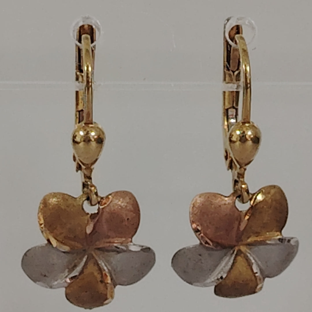 ARETES PAR ORO 10 K 1.6 GRMS (SEMINUEVO)
