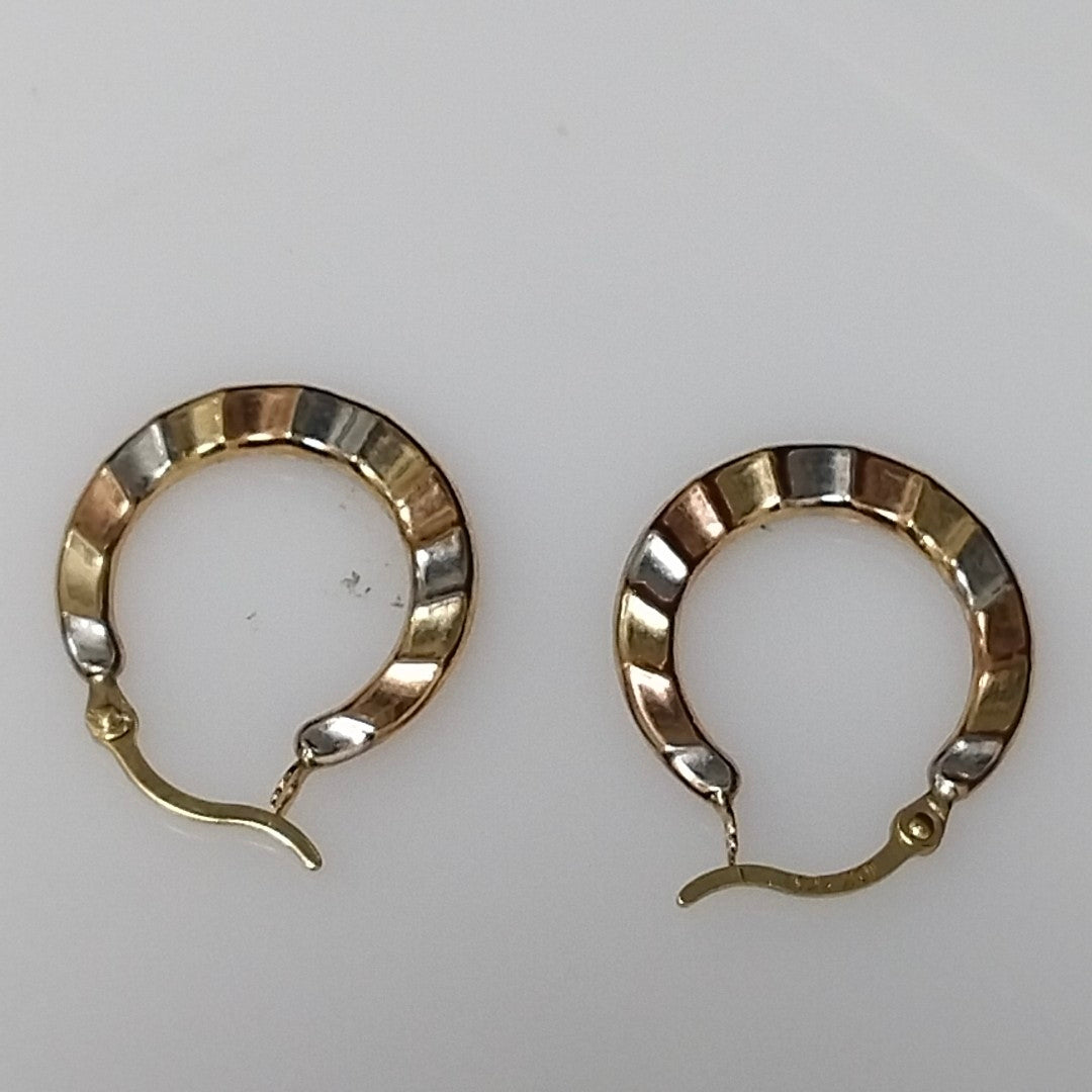 ARRACADAS PAR ORO 10 K 0,50 GRMS (SEMINUEVO)