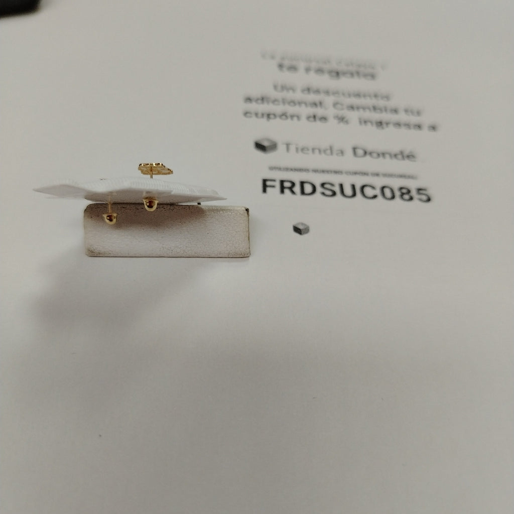 BROQUELES BROQUEL FIG CAPIBARA 14K 0.2657 GR (NUEVO)