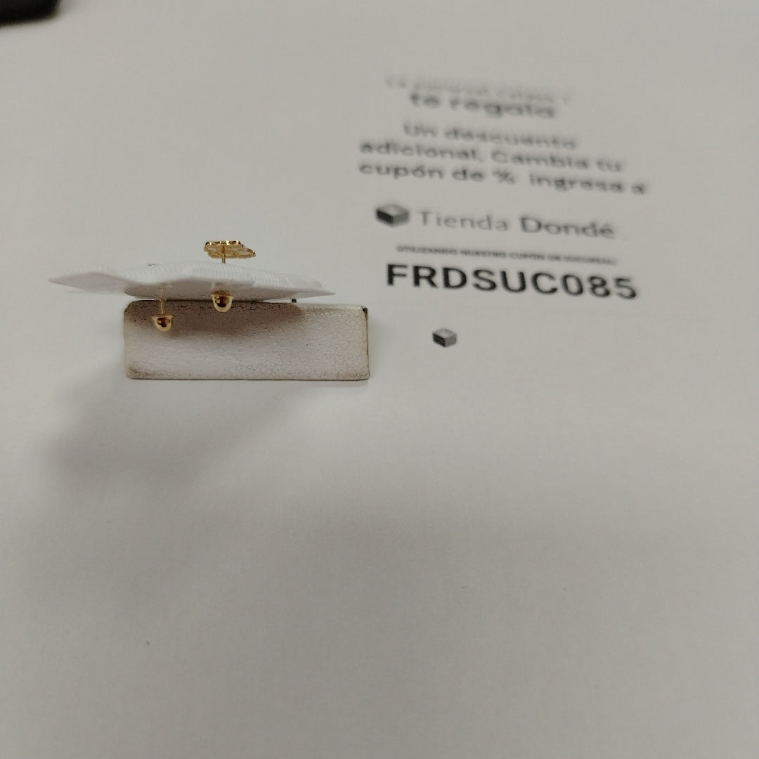 BROQUELES BROQUEL FIG CAPIBARA 14K 0.2657 GR (NUEVO)