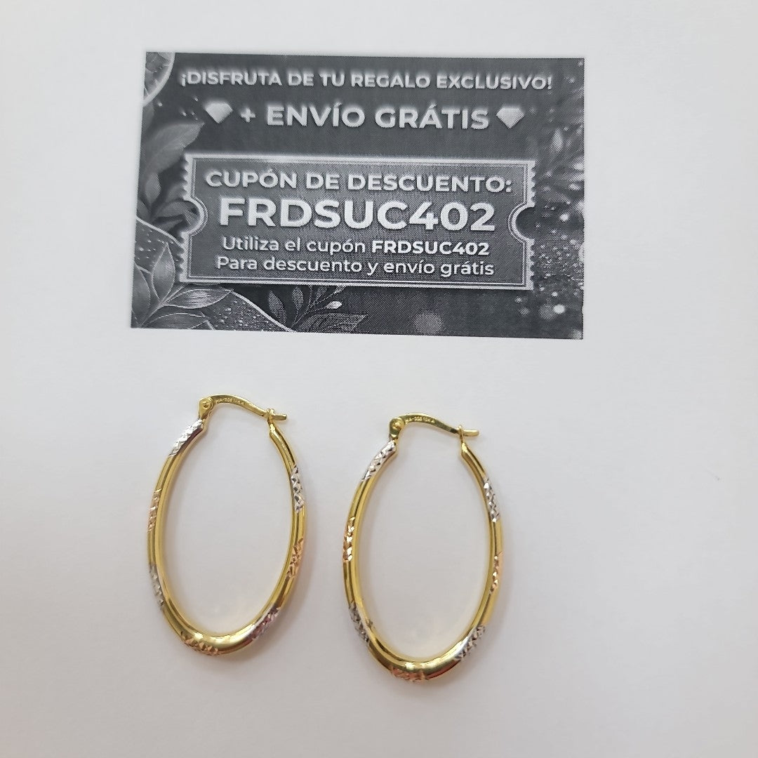 ARRACADAS ORO 10K 2.4 (NUEVO)