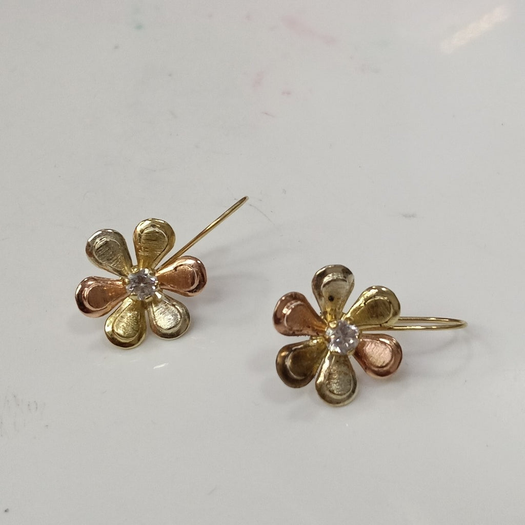 ARETES PAR ORO 10 K 2 GRMS (SEMINUEVO)