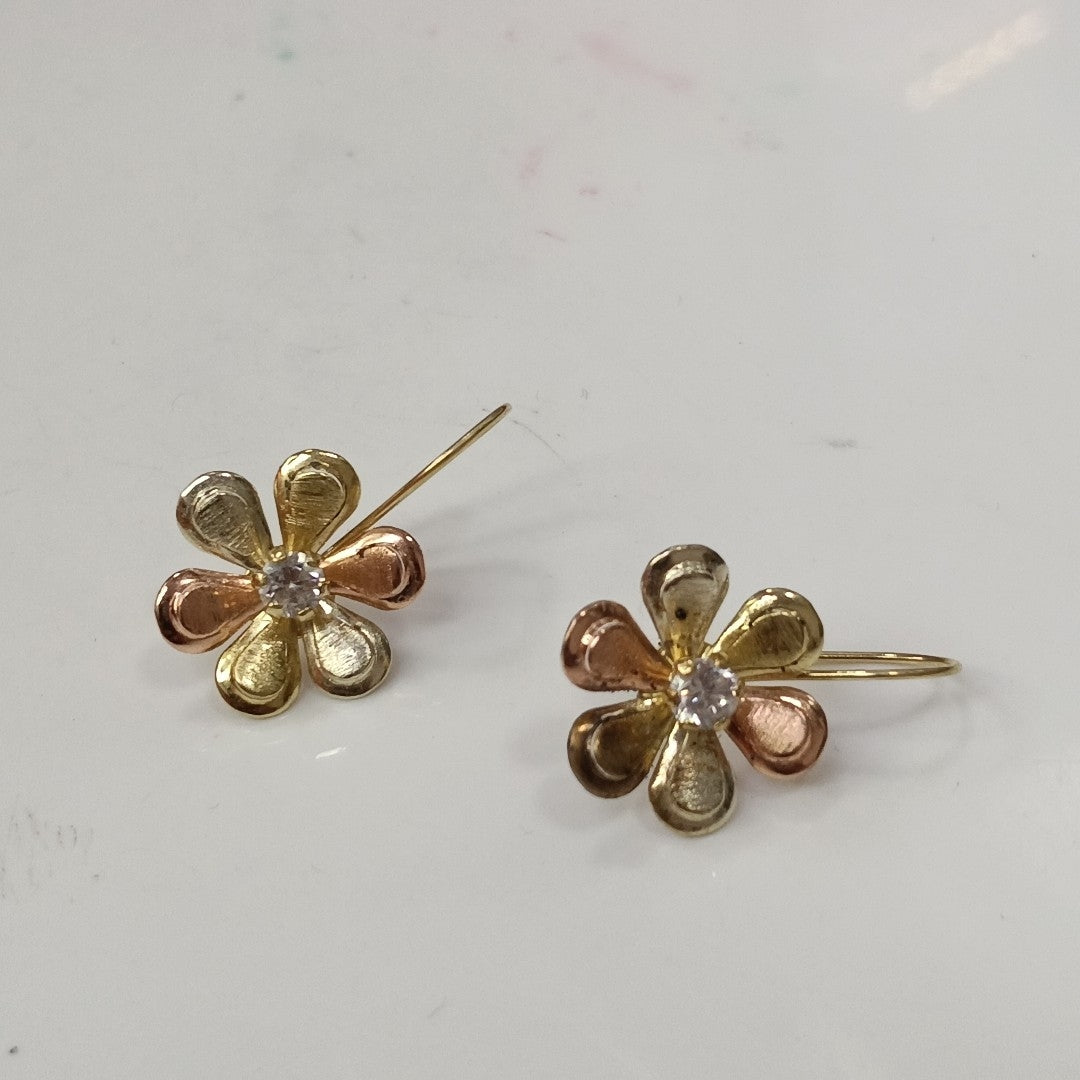 ARETES PAR ORO 10 K 2 GRMS (SEMINUEVO)