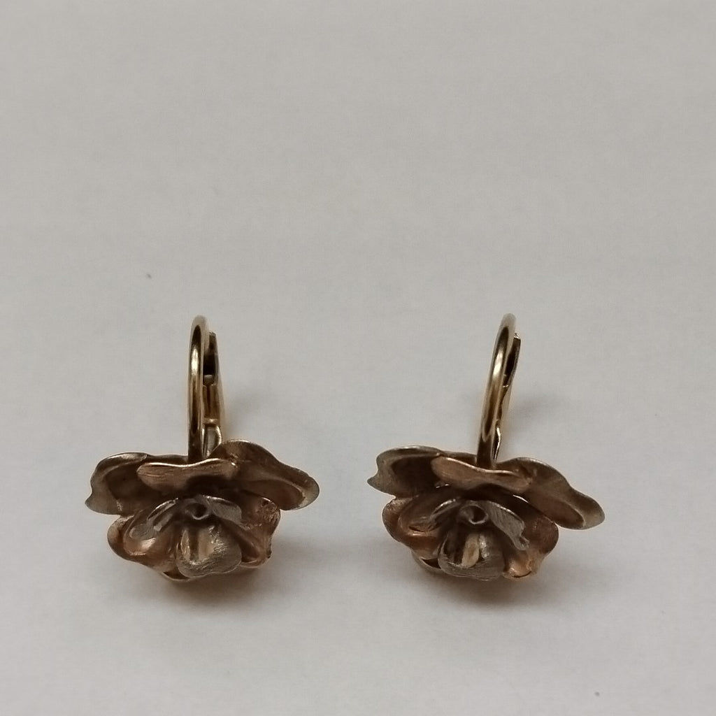 ARETES PAR ORO 10 K 3,30 GRMS (SEMINUEVO)