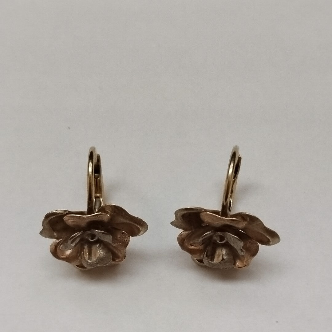 ARETES PAR ORO 10 K 3,30 GRMS (SEMINUEVO)