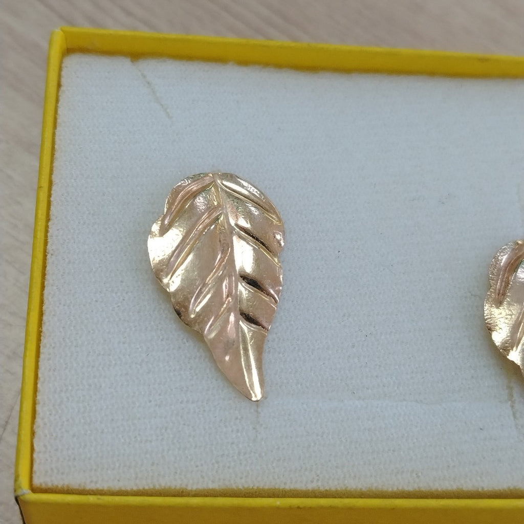 ARETES PAR ORO 10 K 1.3 GRMS (SEMINUEVO)