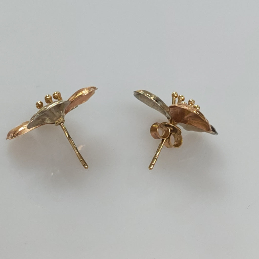 ARETES PAR ORO 10 K 2.9 GRMS (SEMINUEVO)