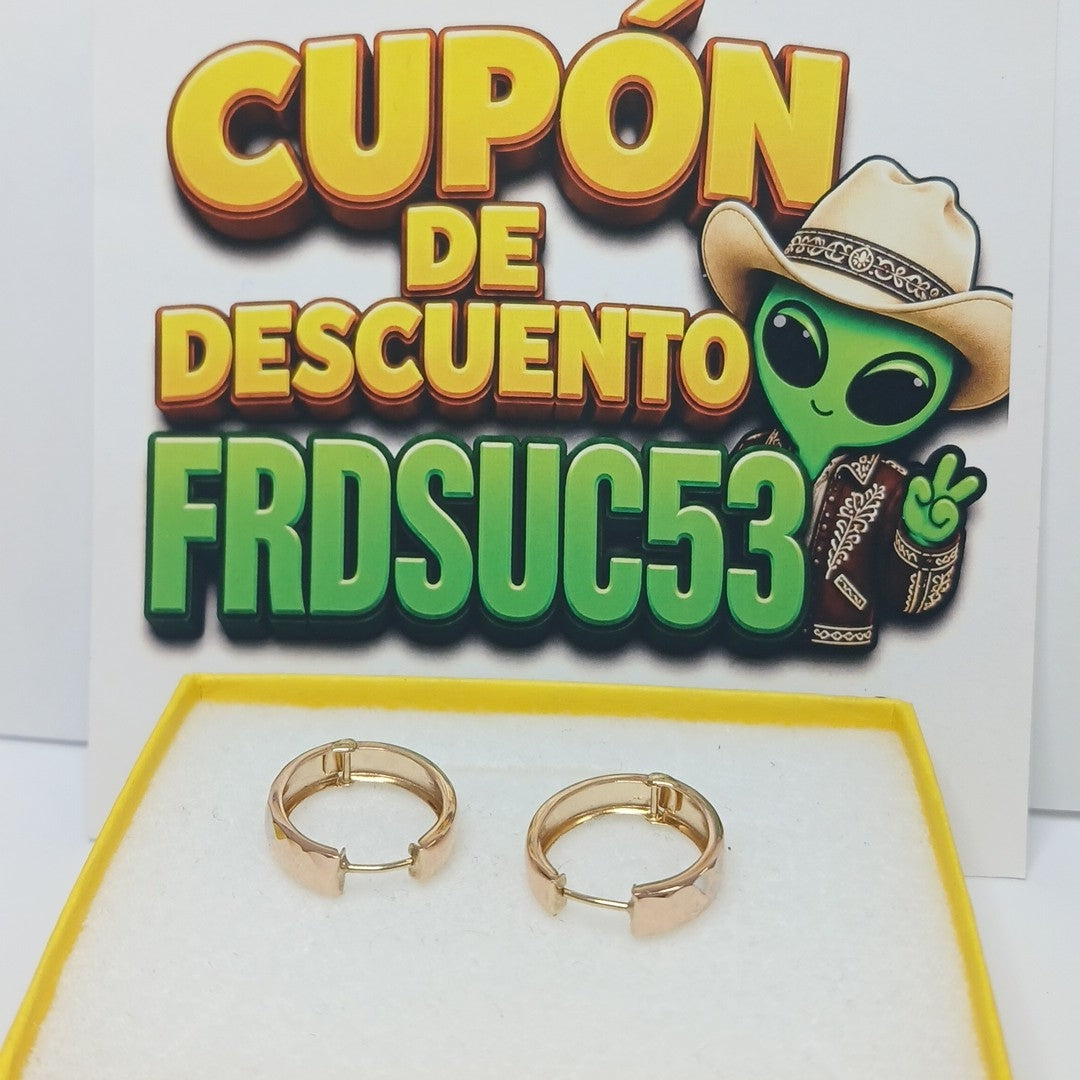ARRACADAS PAR ORO 14 K 2.1 GRMS (SEMINUEVO)