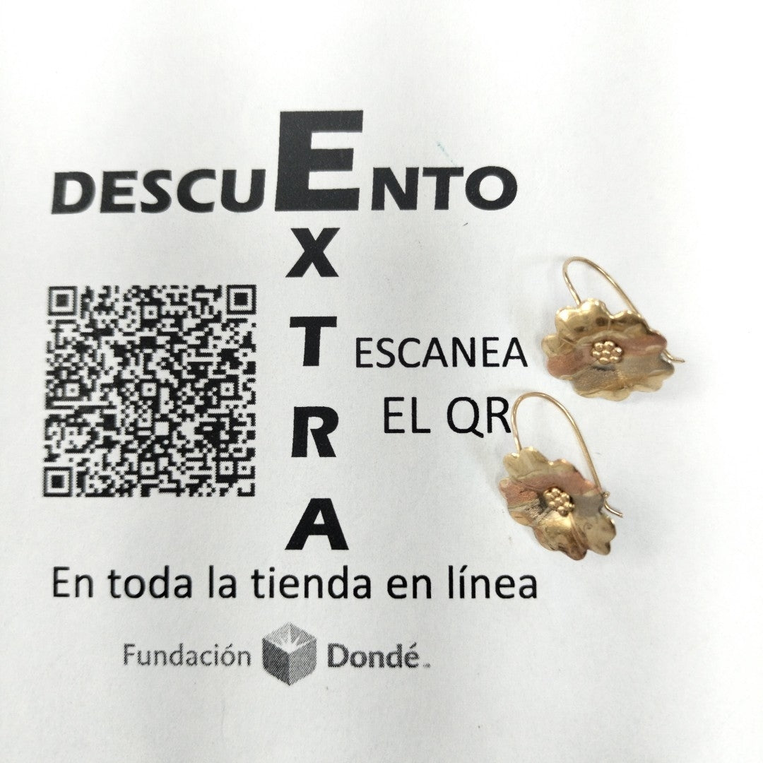 ARETES PAR ORO 10 K 1.1 GRMS (SEMINUEVO)