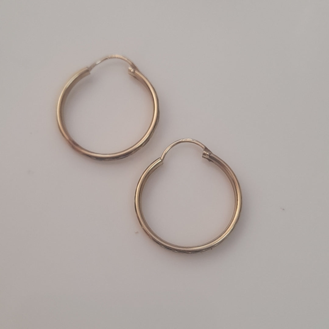 ARRACADAS PAR ORO 10 K 1,70 GRMS (SEMINUEVO)