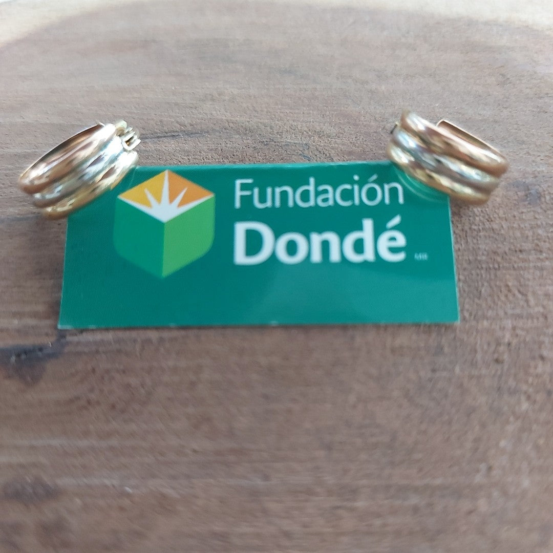 ARRACADAS PAR ORO 10 K 1.1 GRMS (SEMINUEVO)