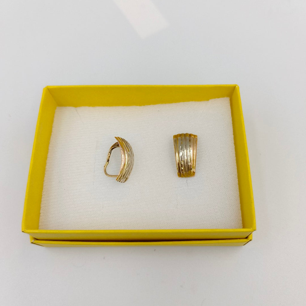 ARETES PAR ORO 10 K 2.3 GRMS (SEMINUEVO)