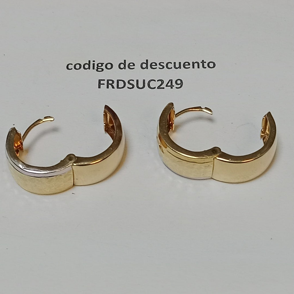 ARRACADAS PAR ORO 10 K 2.9 GRMS (SEMINUEVO)