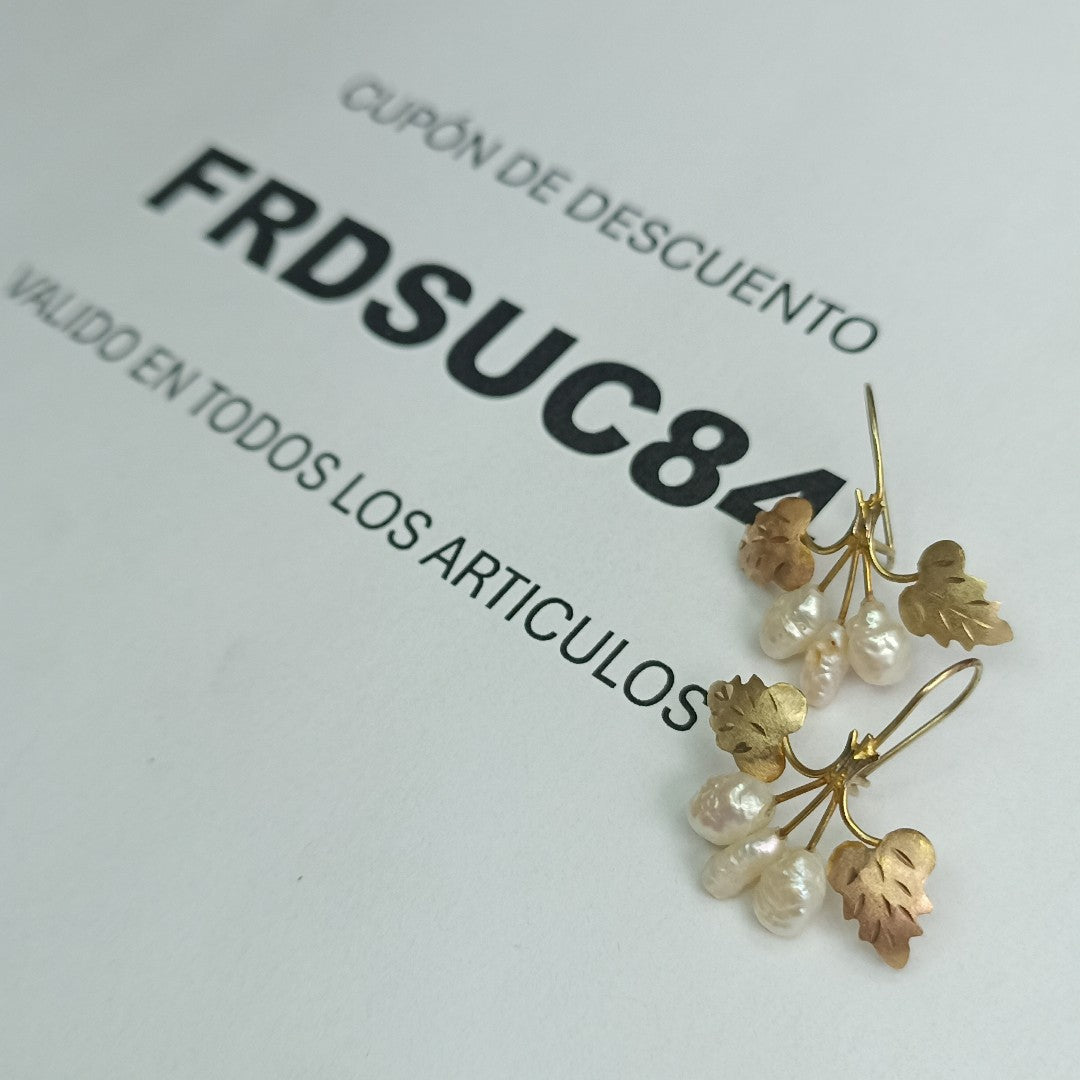ARETES PAR ORO 10 K 1,50 GRMS (SEMINUEVO)