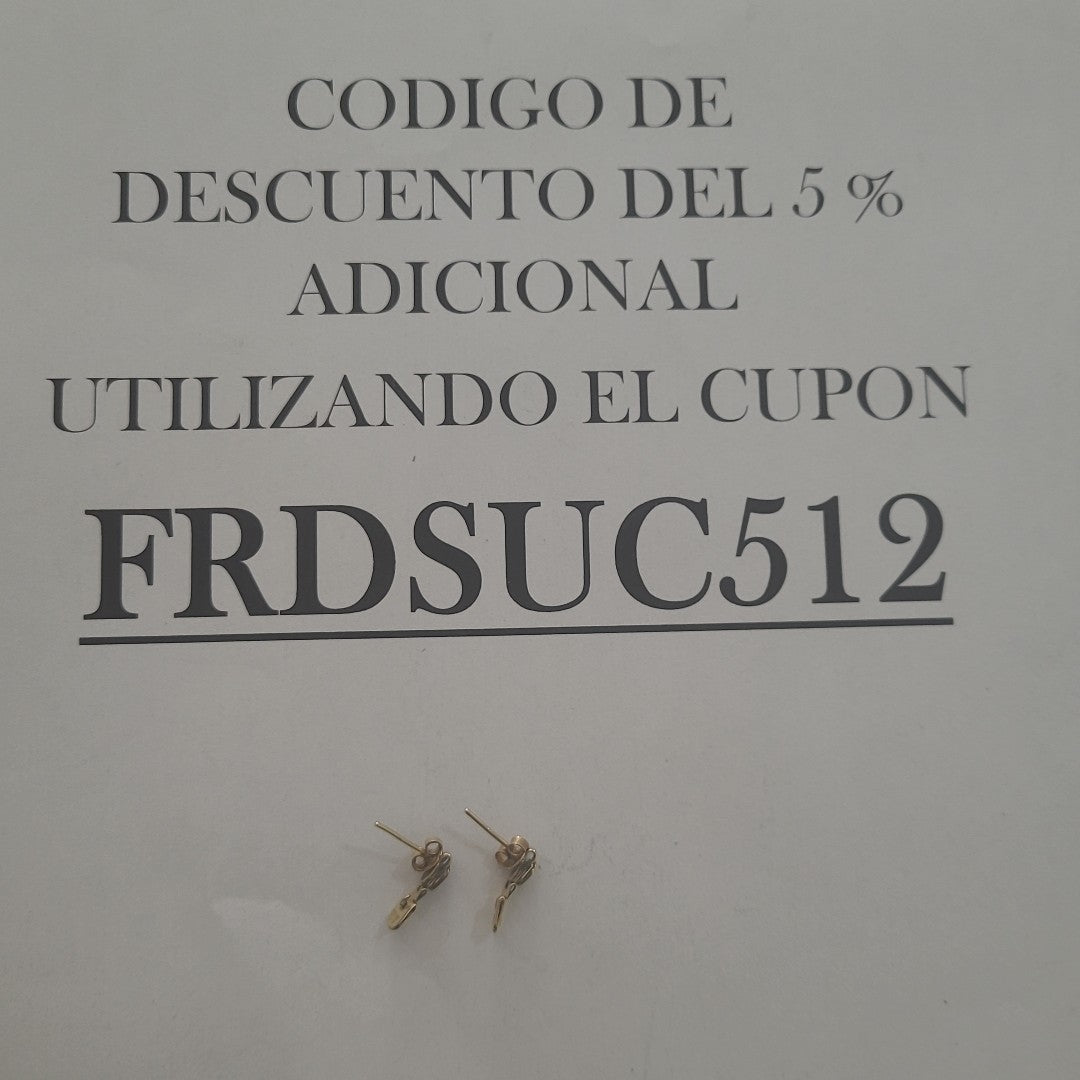 ARETES PAR ORO 10 K 1.2 GRMS (SEMINUEVO)