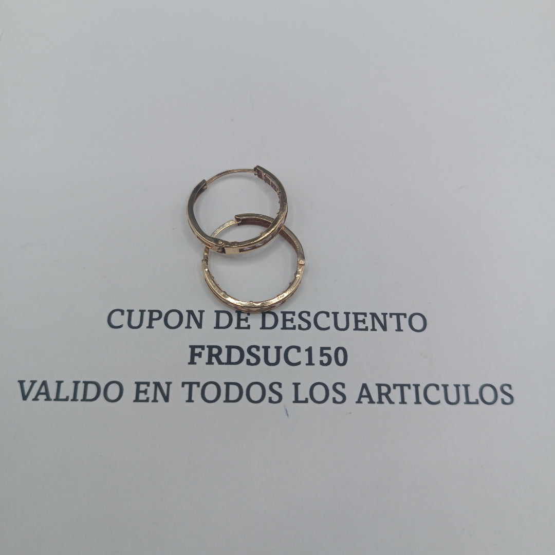 ARETES PAR ORO 10 K 1,90 GRMS (SEMINUEVO)