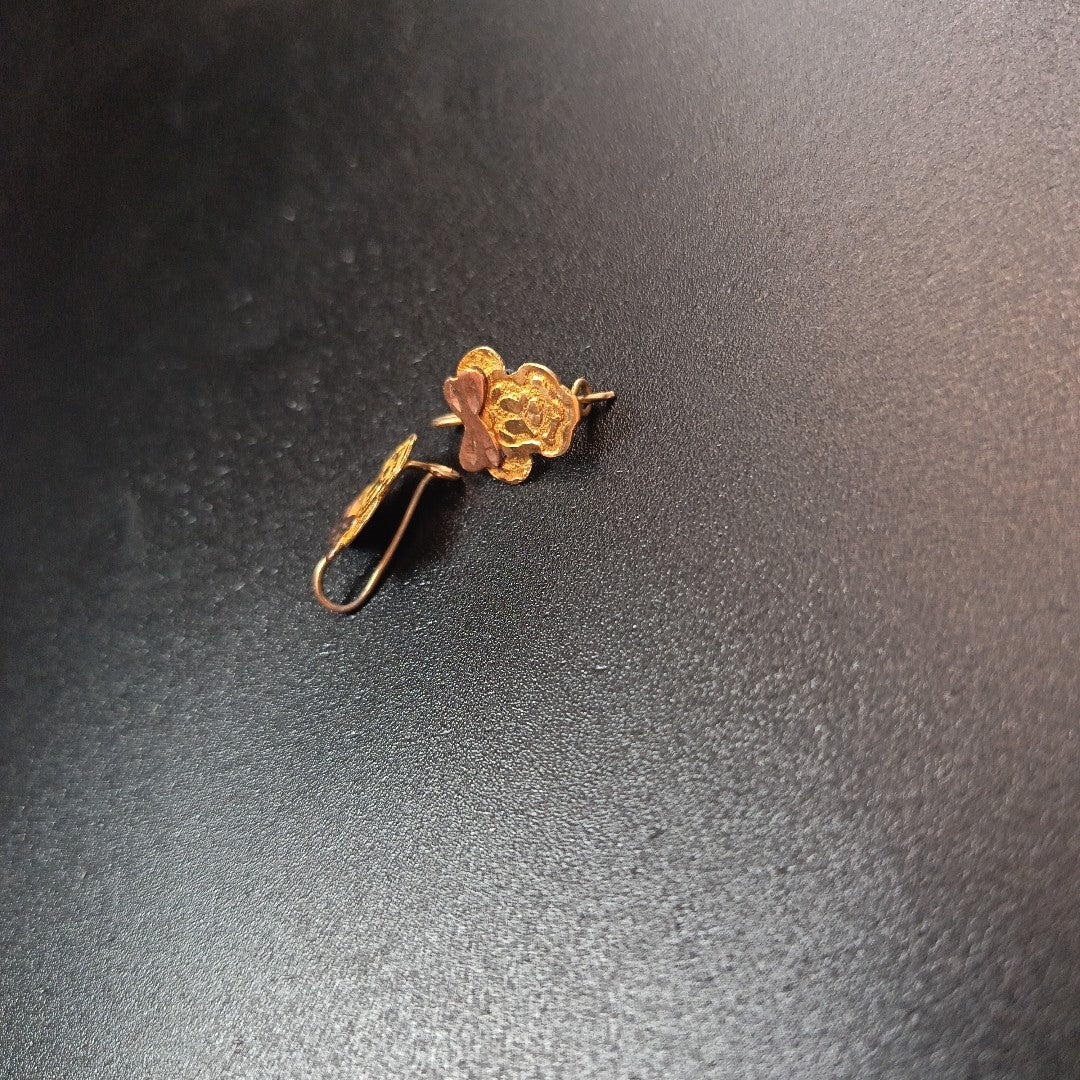 ARETES PAR ORO 10 K 1.4 GRMS (SEMINUEVO)