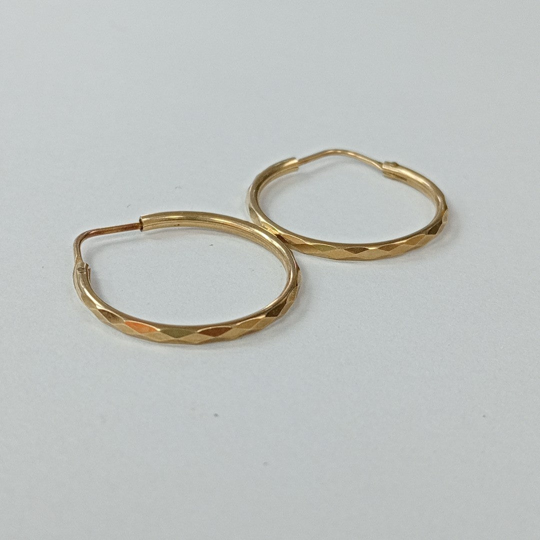 ARRACADAS PAR ORO 10 K 1.1 GRMS (SEMINUEVO)