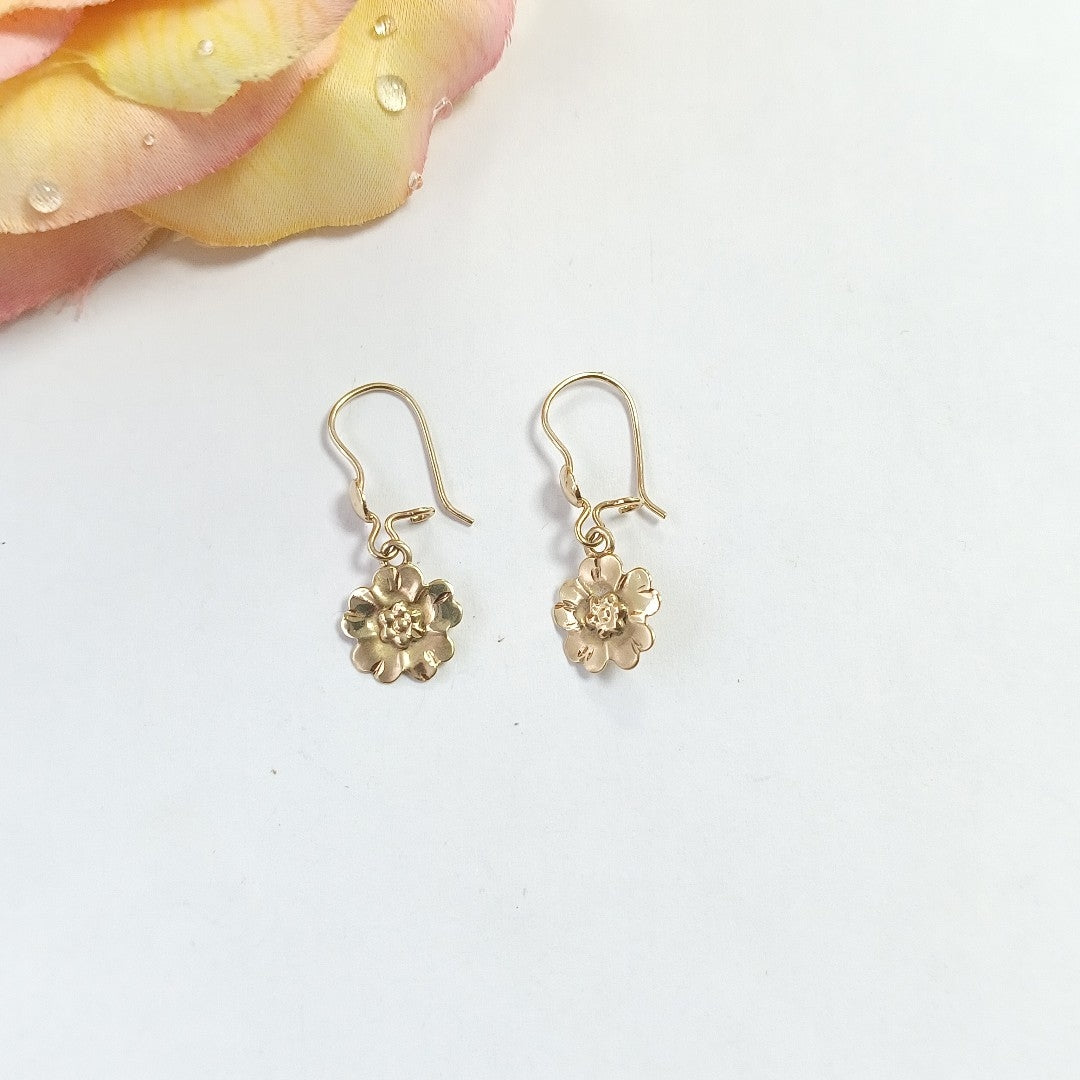 ARETES PAR ORO 10 K 1,20 GRMS (SEMINUEVO)