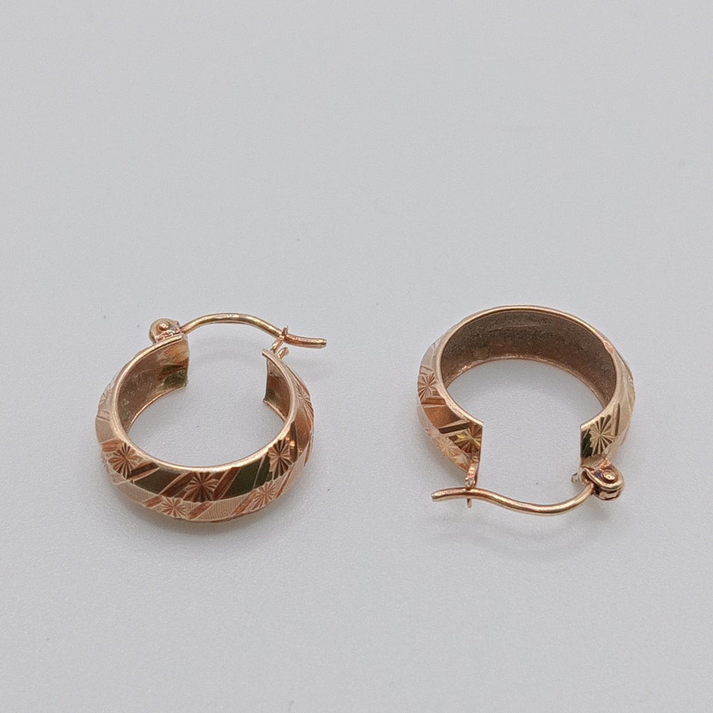 ARRACADAS PAR ORO 10 K 1,90 GRMS (SEMINUEVO)