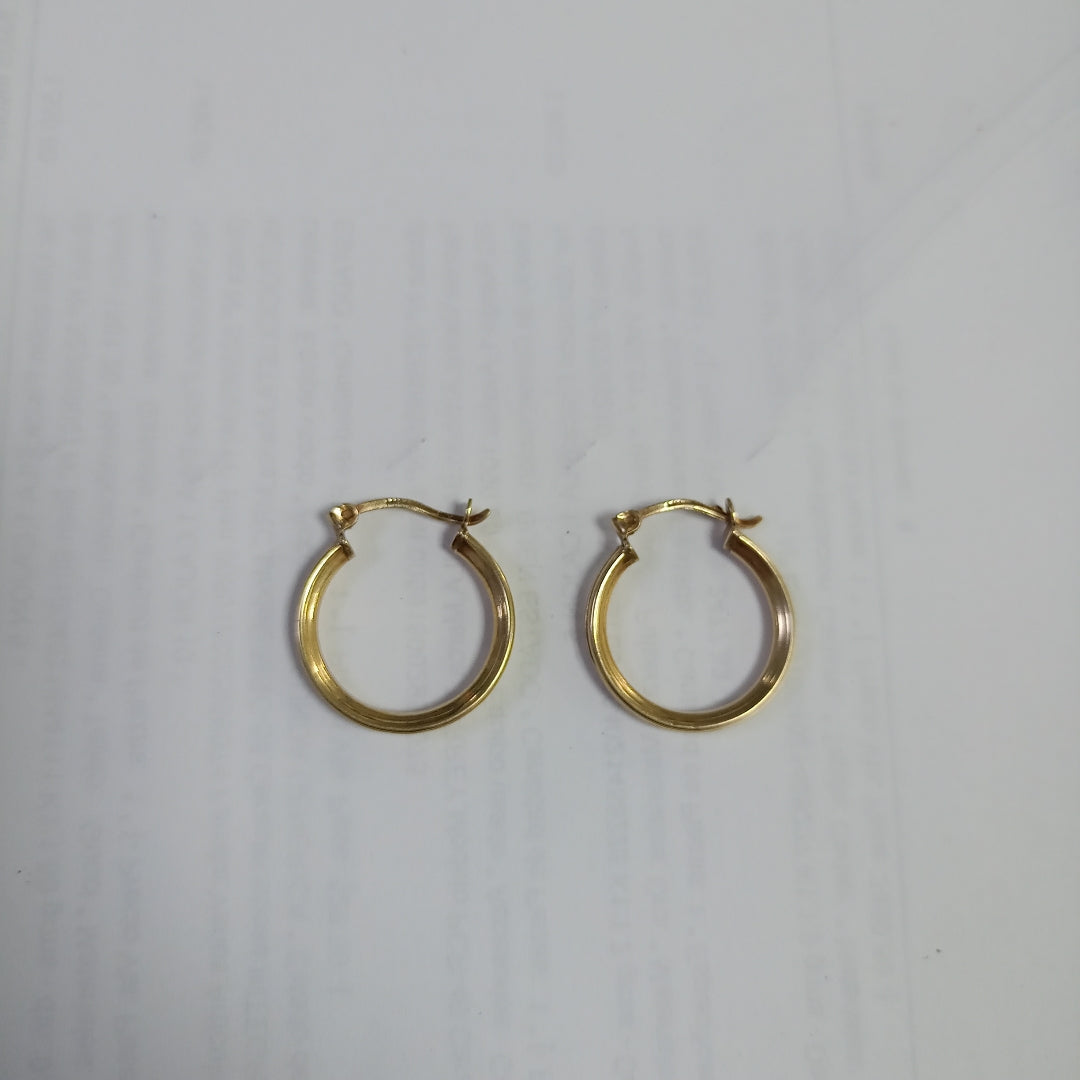ARRACADAS PAR ORO 10 K 2.8 GRMS (SEMINUEVO)