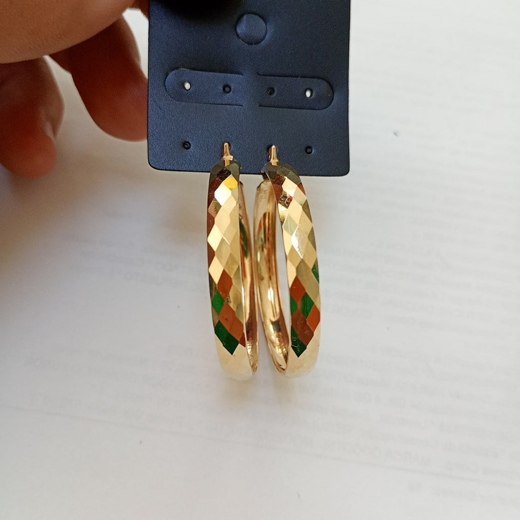 ARRACADAS PAR ORO 10 K 4.8 GRMS (SEMINUEVO)