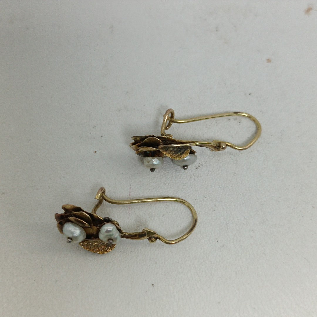 ARETES PAR ORO 10 K 2.1 GRMS (SEMINUEVO)