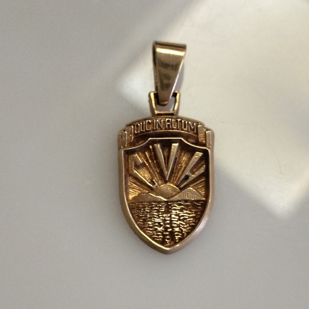 DIJE ORO 10 K 4.1 GRMS (SEMINUEVO)
