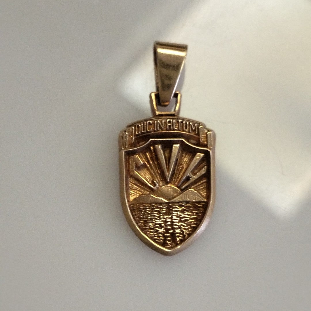 DIJE ORO 10 K 4.1 GRMS (SEMINUEVO)