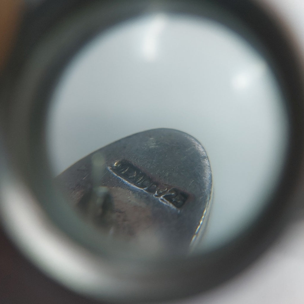 ARETES PAR PLATA 13 GRMS (SEMINUEVO)